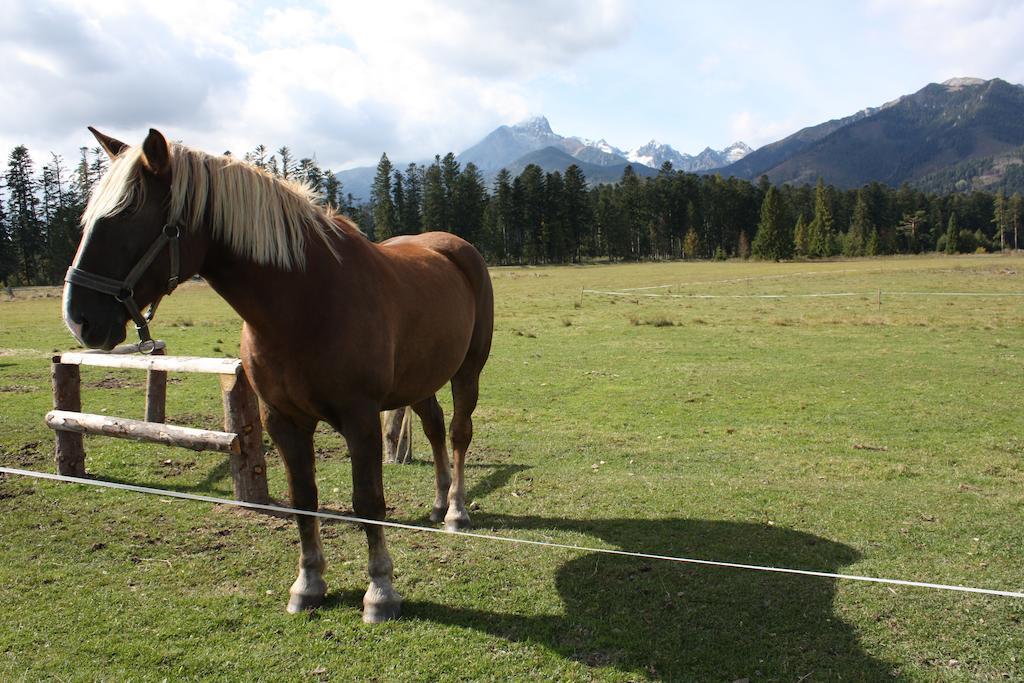 Penzion Koliba Vysoke Tatry Bagian luar foto